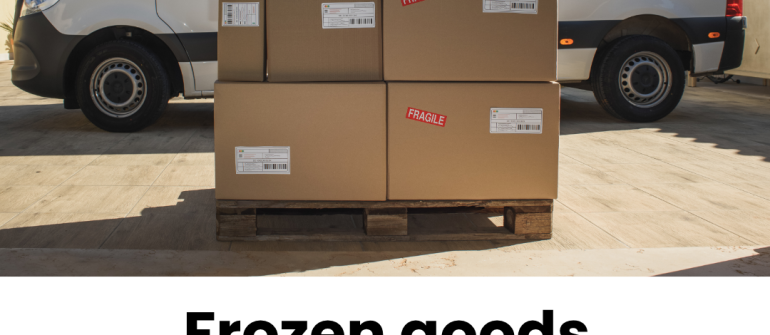 Frozen Goods Distribution Dubai: Reliable Cold Chain Logistics Across UAE